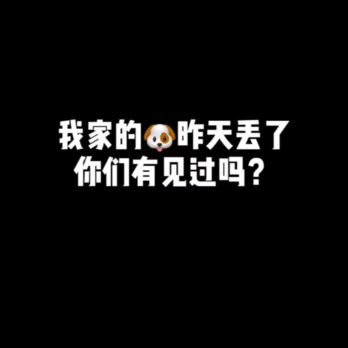 2024年10月湖南长沙泉塘三期安置区寻宠